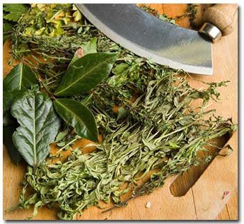 culinary-herbs