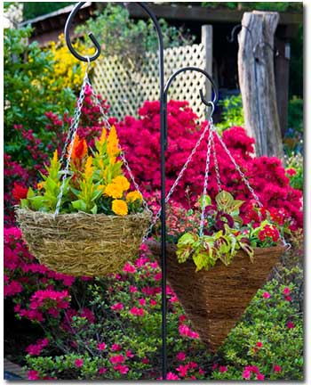 hanging-baskets