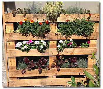 pallet-garden2