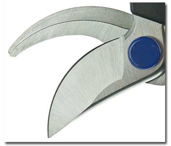 How to Sharpen Pruner or Lopper with Corona AC 8300 Sharpening