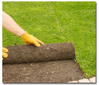 soil-prep-lawns1 (1)